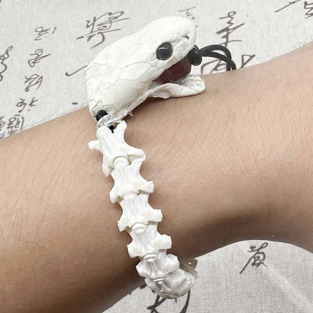 Handcrafted Real Snake Bone Bracelet with Natural Vertebrae & Beads